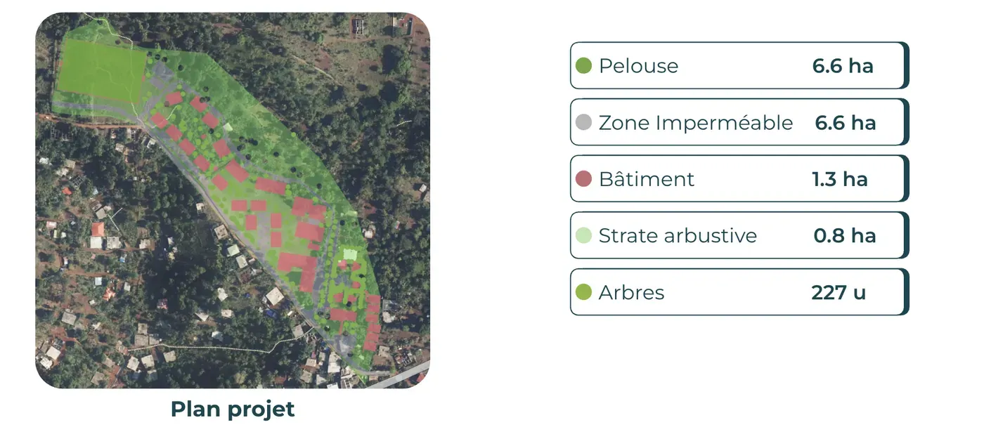 Project plan adapted by Netcarbon