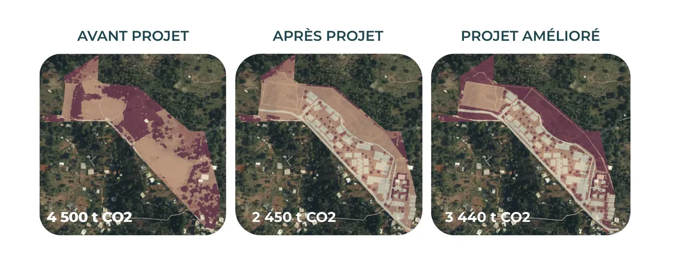 Comparative analysis of carbon stocks before and after the project, and before and after optimization