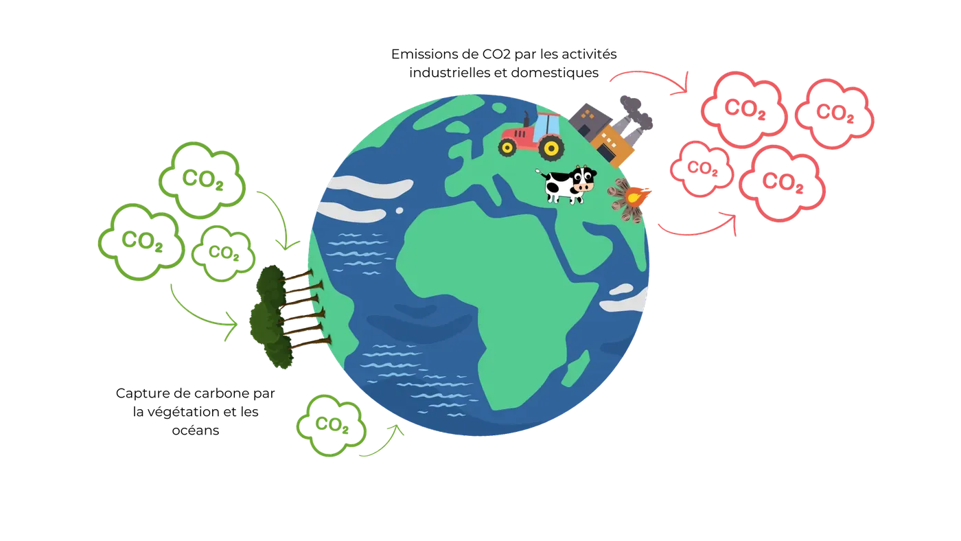 Short carbon cycle - Diagram of CO2 flows