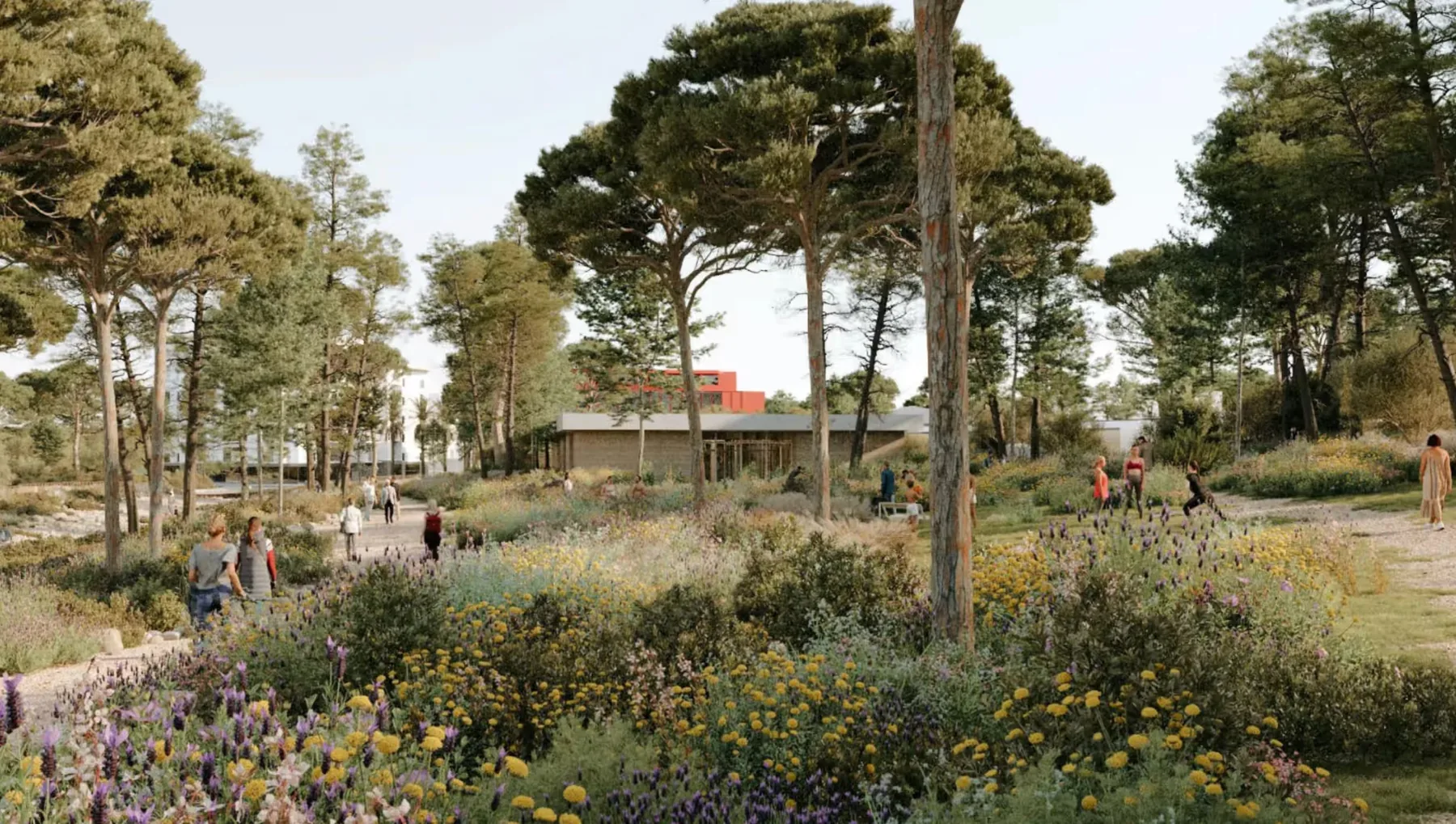 View of the Les Combes project: hikers in a flower-filled meadow lined with pine trees