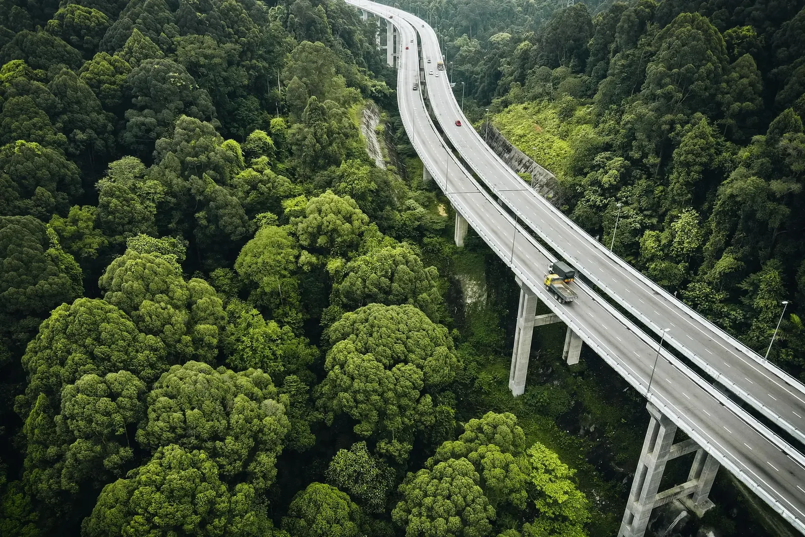 Aerial view of a highway viaduct crossing a dense forest
